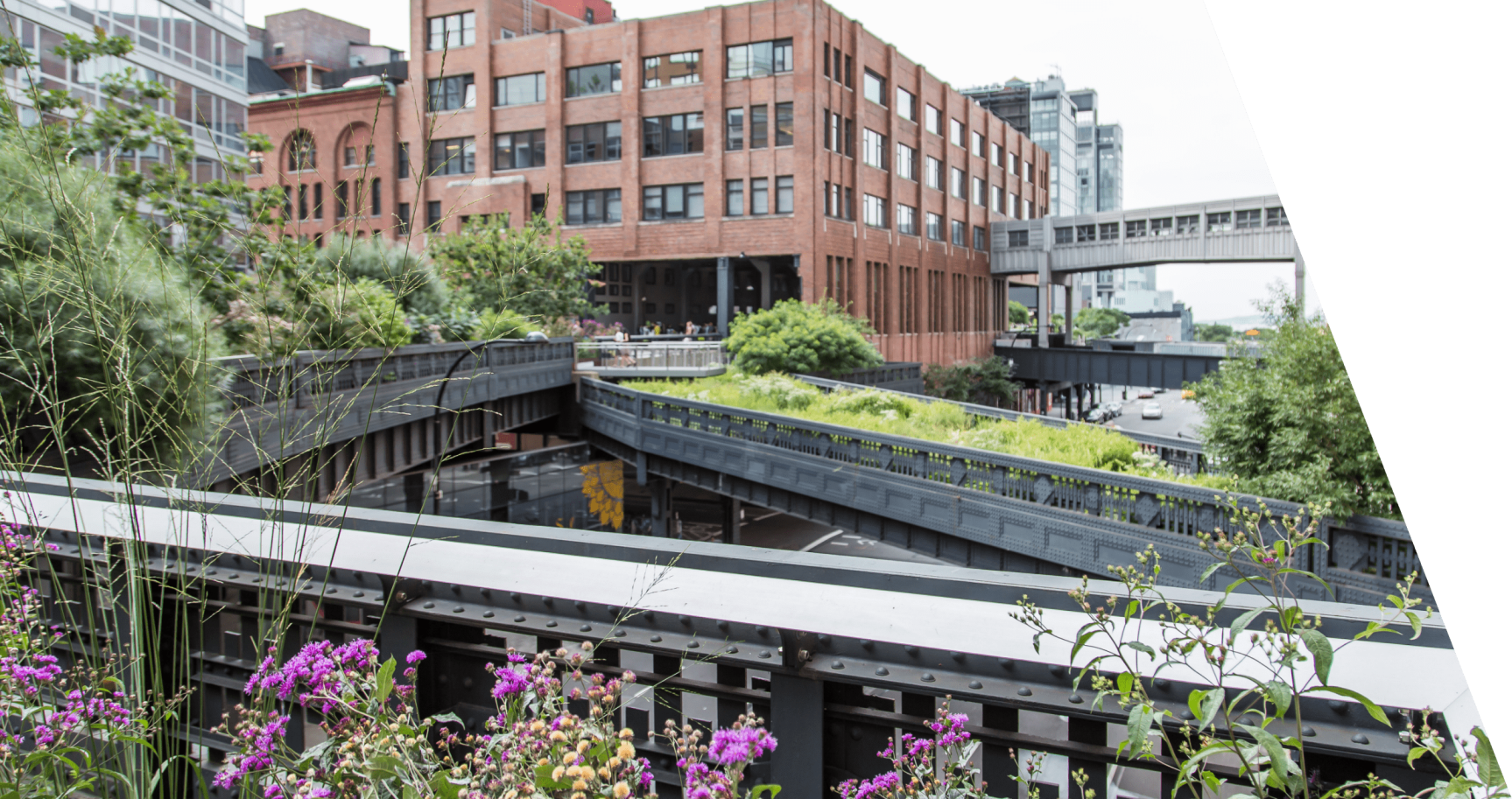 Chelsea’s High Line, a vibrant park built on an old elevated railway line. Leaves on trees and shrubs, flowers in bloom.